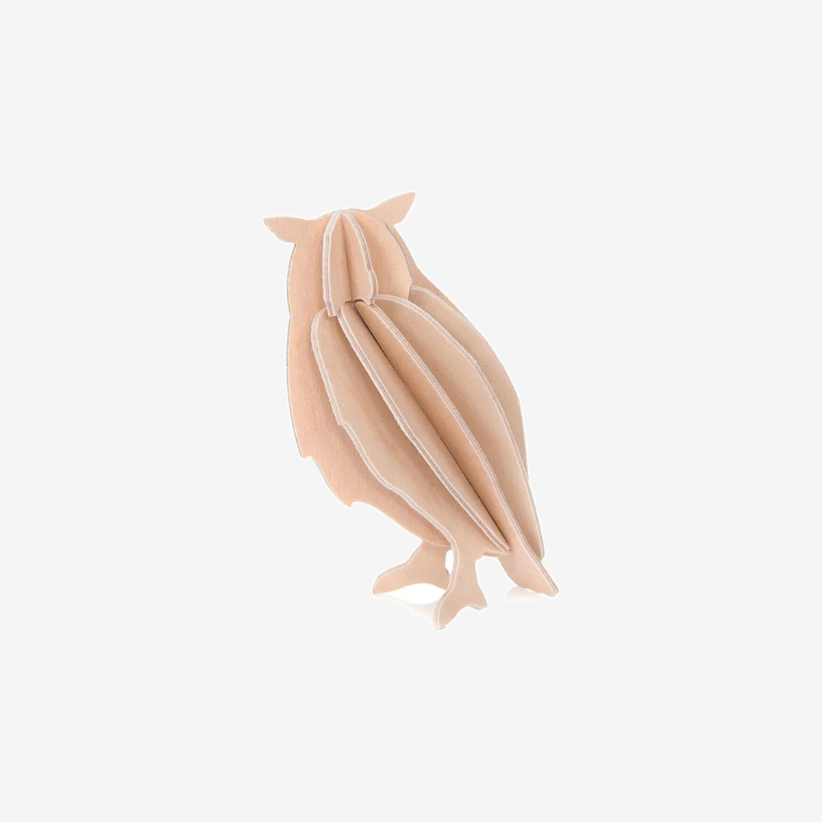 TIOR padding5 normalized card | 10520335614133 | 9f2230fea3c9
