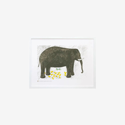TIOR padding5 normalized card | 10520446238901 | 08c8e9d9a1b7