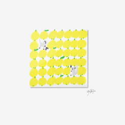 TIOR padding5 normalized card | 10520469078197 | 042b50094f3b
