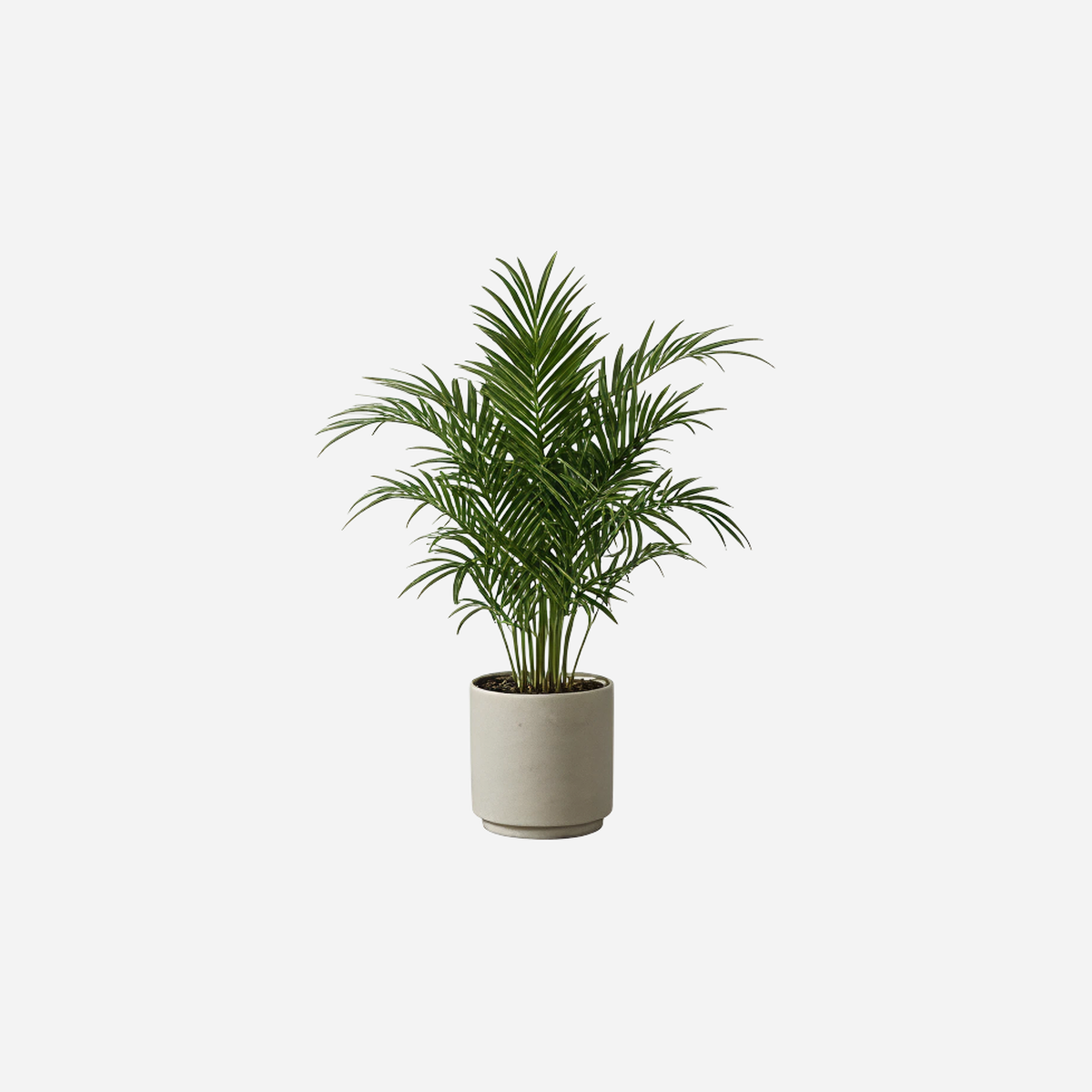 AI Design Image