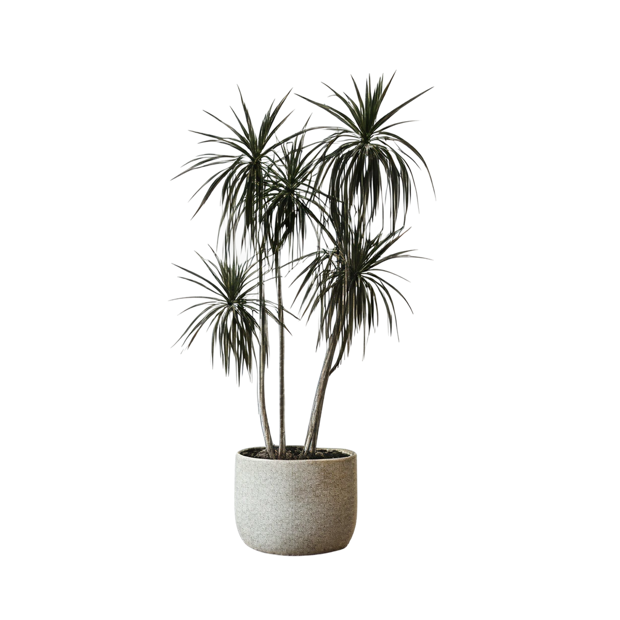 AI design image 39080