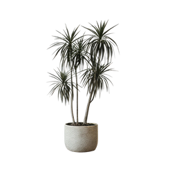 AI design image 39080