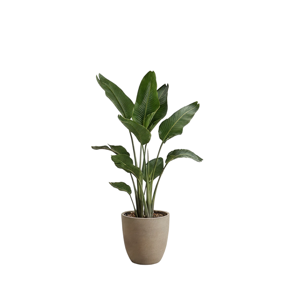 AI design image 39084