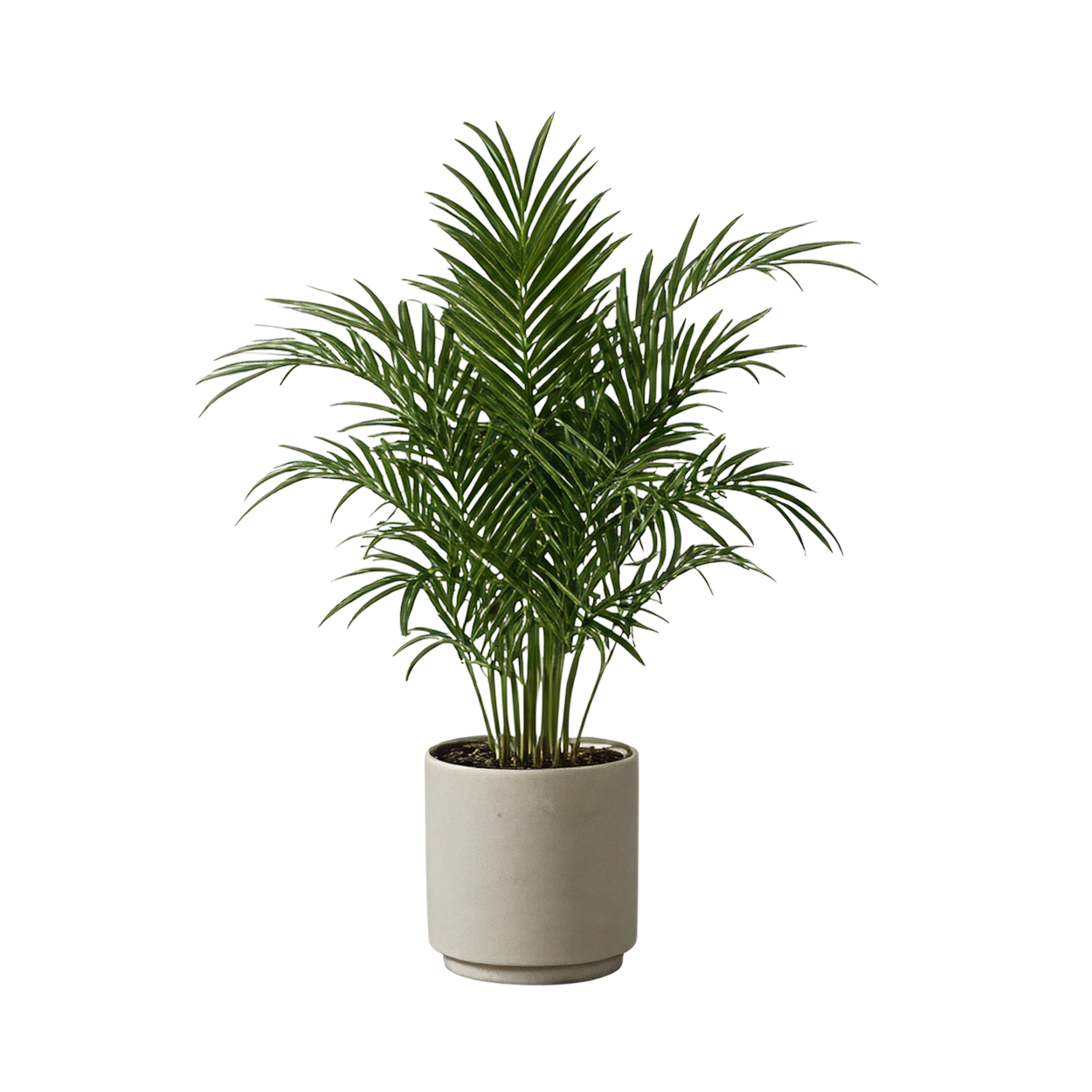 AI design image 39088