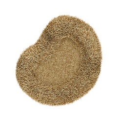 Pond Rug - Point - view 1